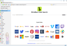 Download BriskBard All-In-One Free Browser for Windows
