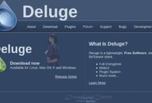 Download Deluge Full-Featured to Share Files Open Source