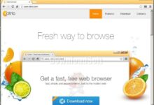 Citrio Browser Free Download 2023 for Windows and Mac