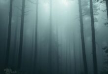 Searching for Meaning in Spiritual Chaos and Lived Reality