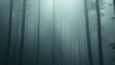 Searching for Meaning in Spiritual Chaos and Lived Reality