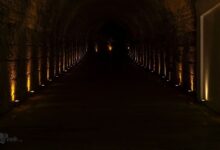 من النفق الأسود إلى نور الخلود: فلسفة الصمود والإيمان من النفق الأسود إلى نور الخلود: فلسفة الصمود والإيمان