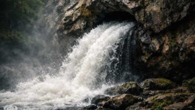 الفاترون الذين يتقيؤهم الرب من فمه: خطر الإيمان بلا حرارة الفاترون الذين يتقيؤهم الرب من فمه: خطر الإيمان بلا حرارة